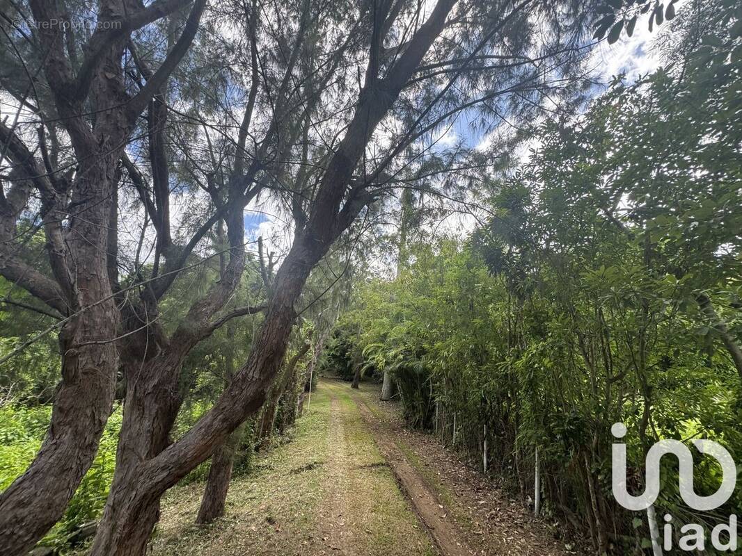 Photo 1 - Terrain à SAINT-PAUL