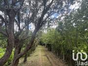 Photo 1 - Terrain à SAINT-PAUL