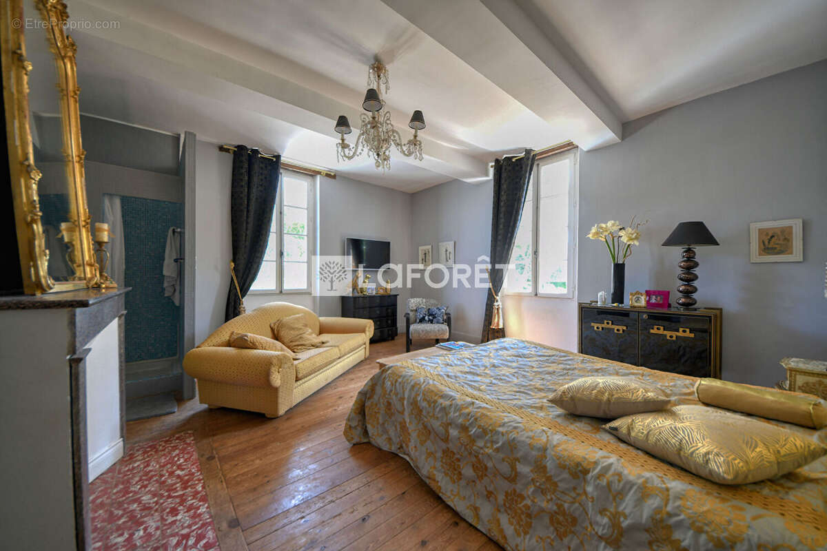Maison de maitre avec gîte et dependances a vendre a lisle-sur-tarn - photo 9