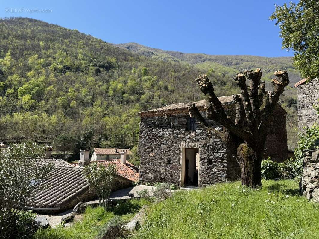 Maison à VALLERAUGUE
