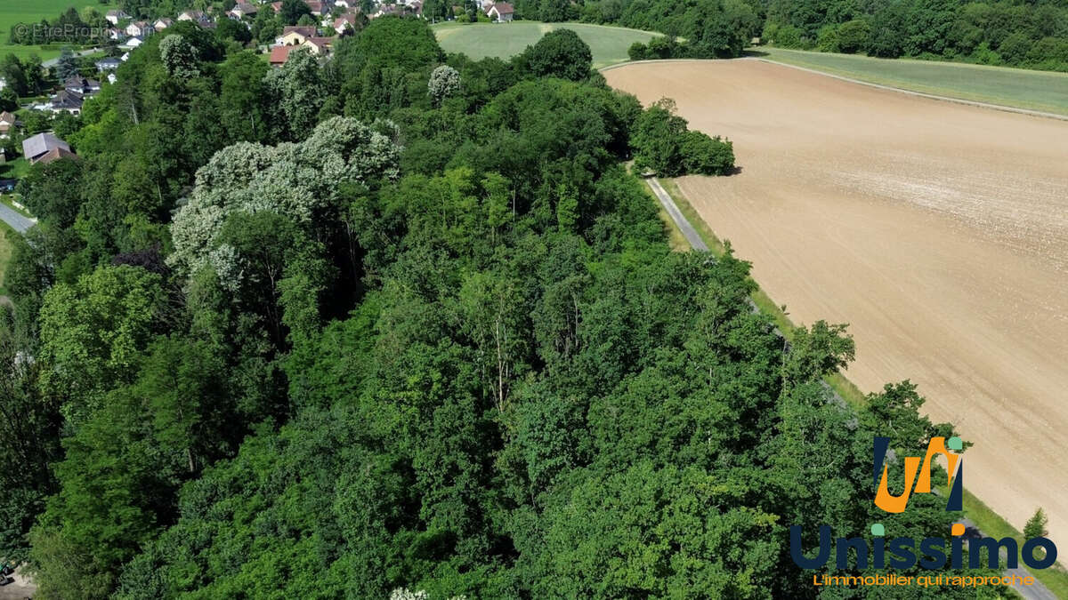Terrain 2908 m² à L'isle-Sur-Le-Doubs  - photo 5