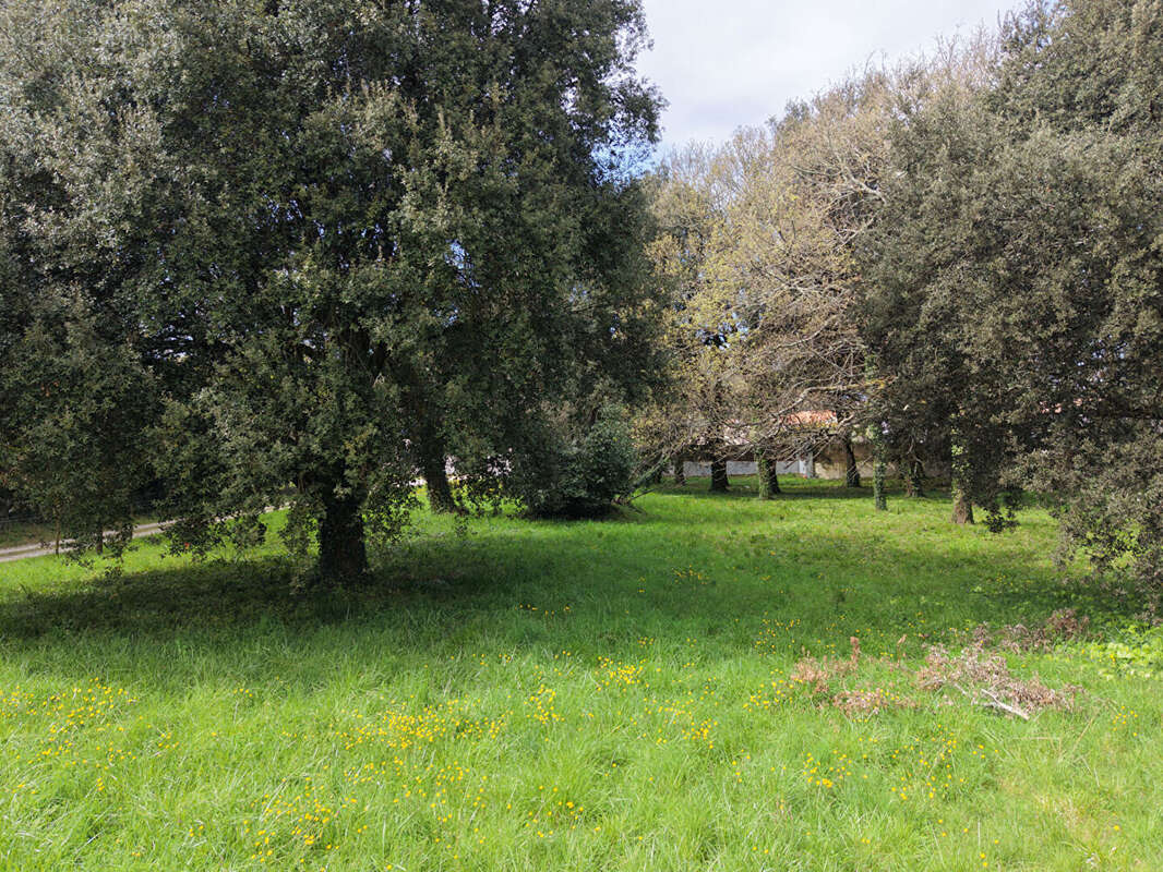 Terrain à MESCHERS-SUR-GIRONDE