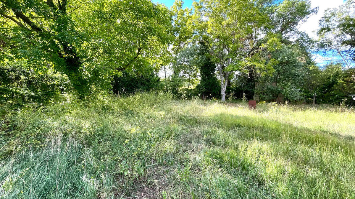 Terrain à ENTRAIGUES-SUR-LA-SORGUE