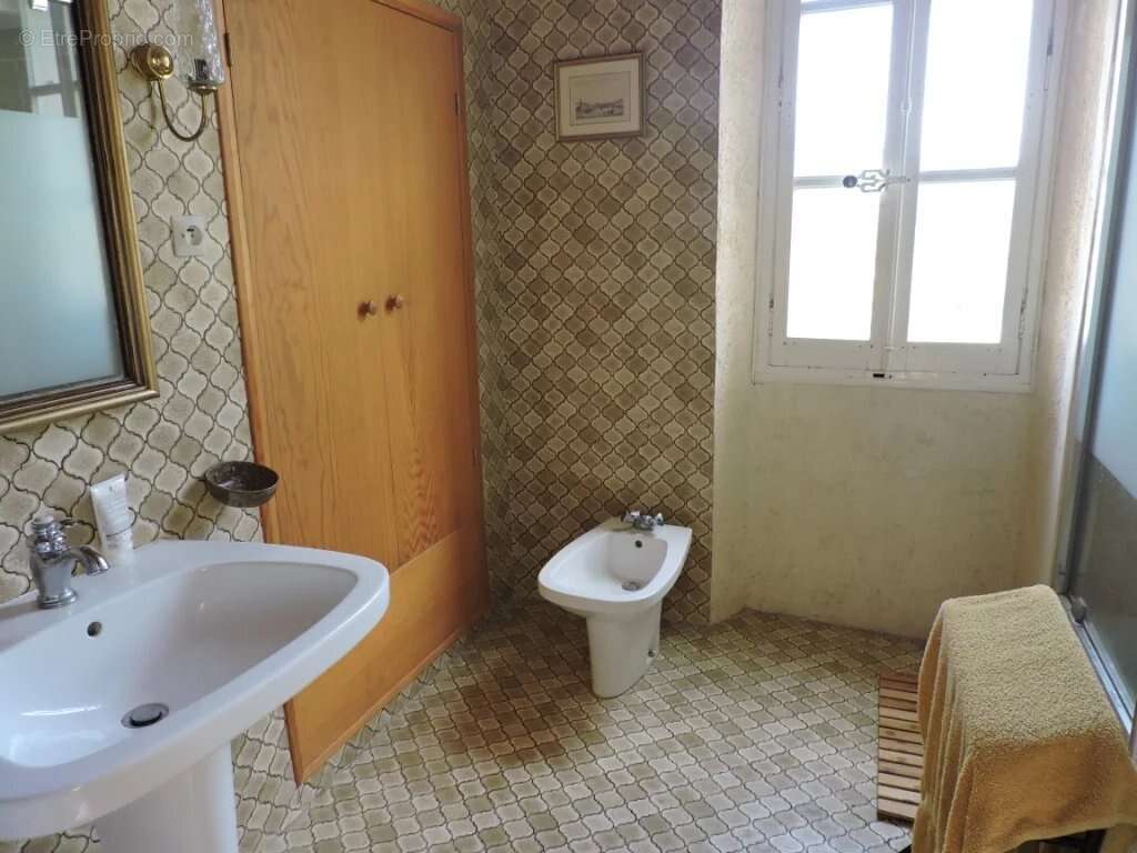 Maison à ENTREVAUX
