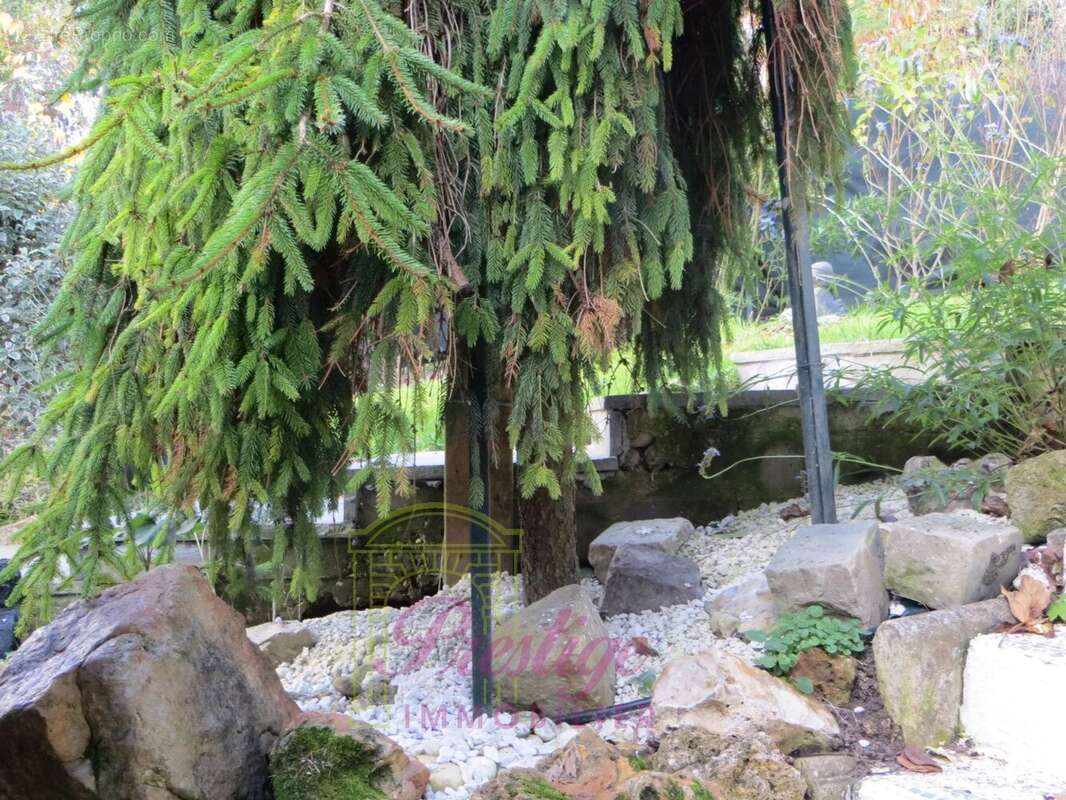 Maison à LE MESNIL-LE-ROI