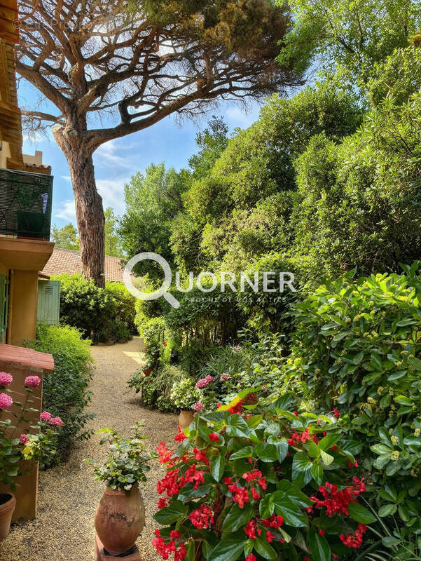 Appartement à SAINT-TROPEZ