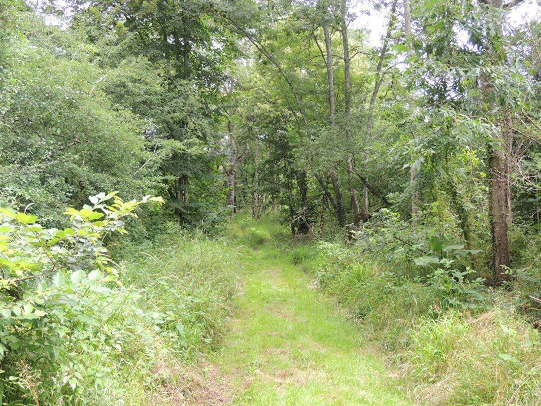 Propriété de chasse Myennes 8 pièce(s) 254 m2 - photo 11