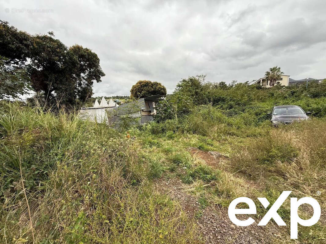 Terrain à SAINT-PIERRE