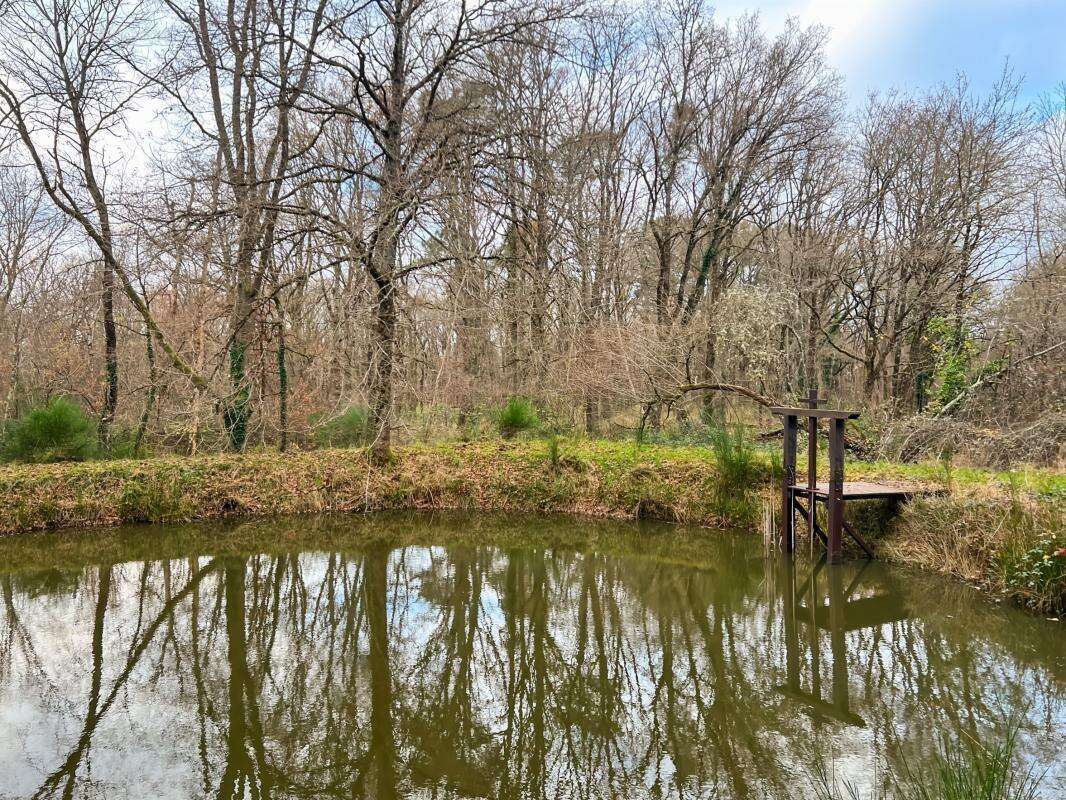 Terrain de loisir - photo 4