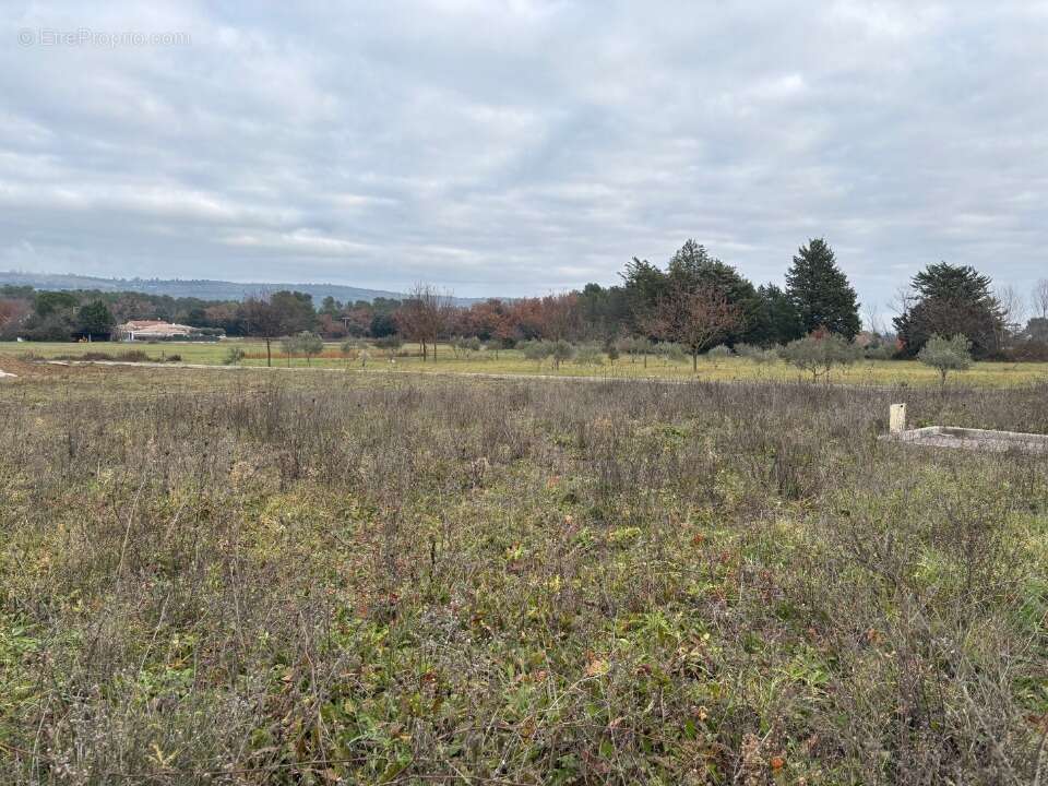 Terrain à BRIGNOLES