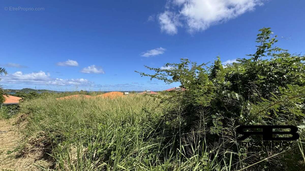 Terrain à LE VAUCLIN