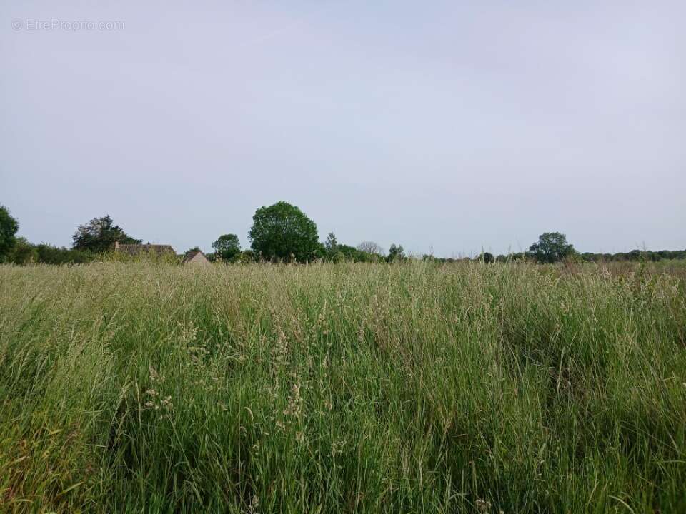 Terrain 400 m² à Formigny  - photo 2