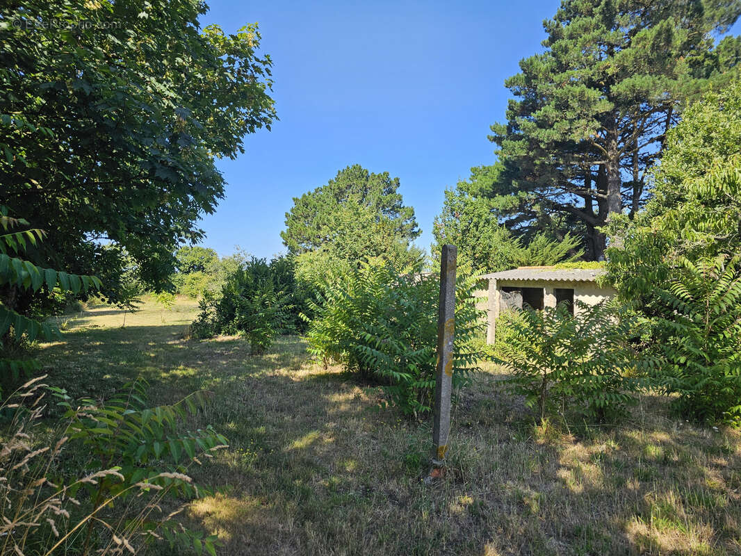 Maison à VAIRE