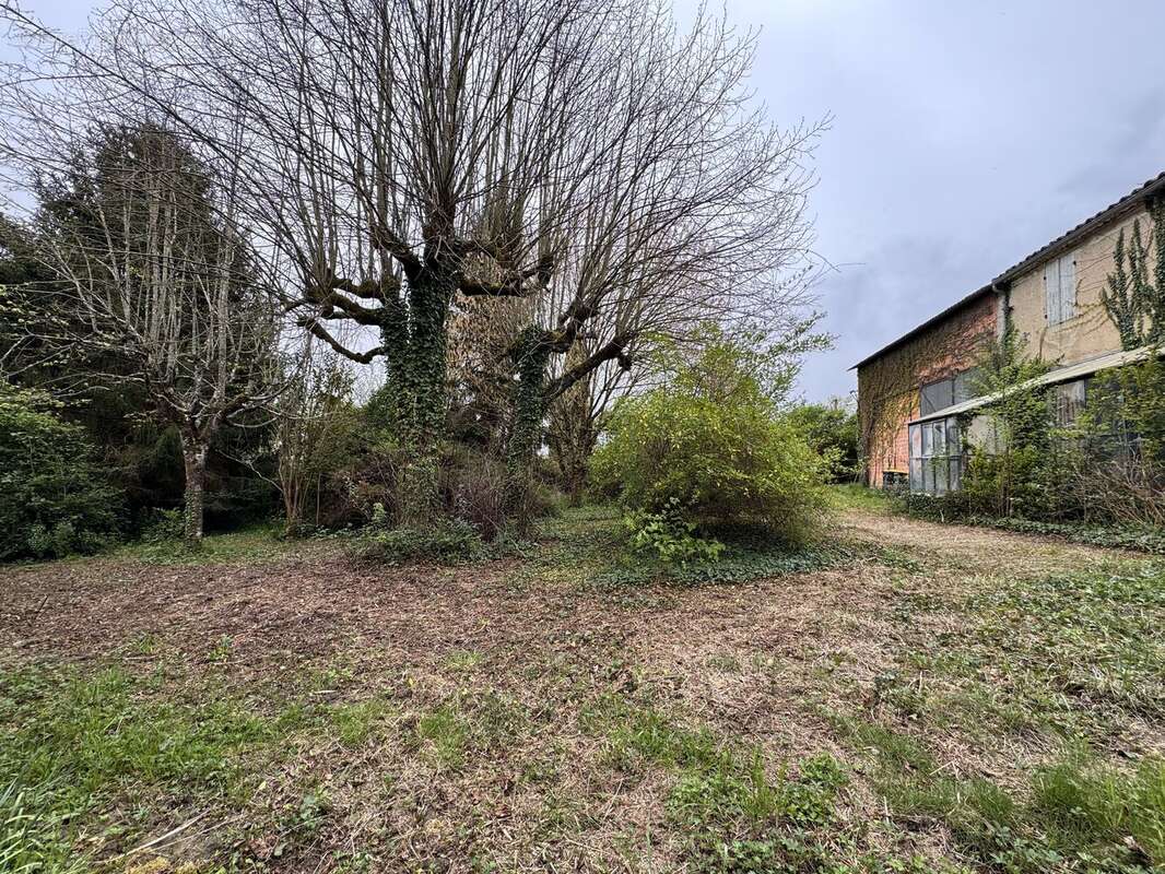 Photo 3 - Maison à SAINTE-GEMME