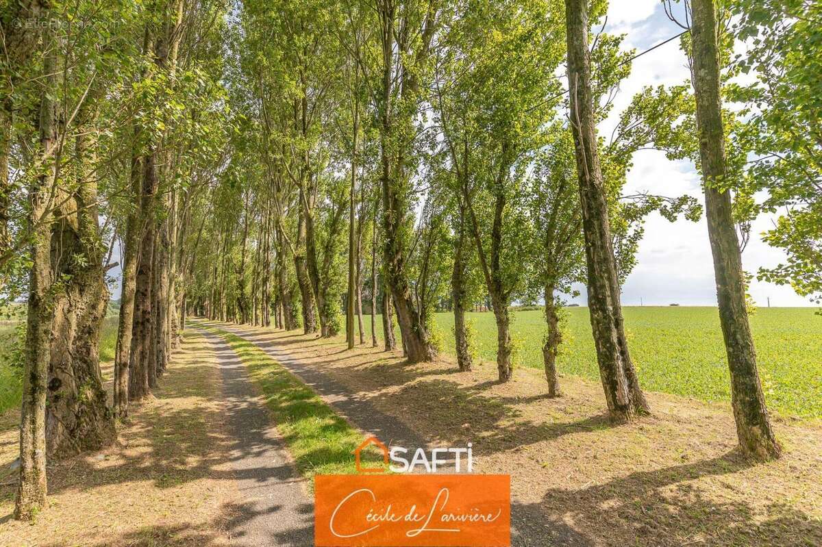 Photo 4 - Maison à PLOUVORN