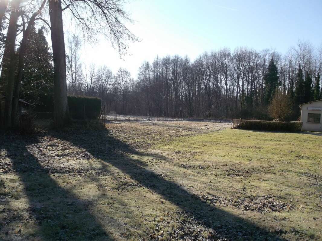 Terrain à BRUYERES-ET-MONTBERAULT