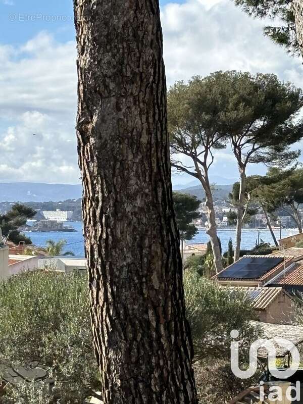 Photo 4 - Terrain à SANARY-SUR-MER