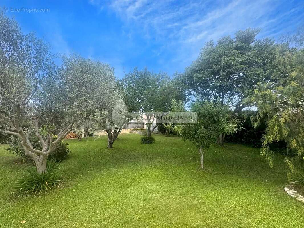 Maison à SAINT-MARTIN-DE-CRAU