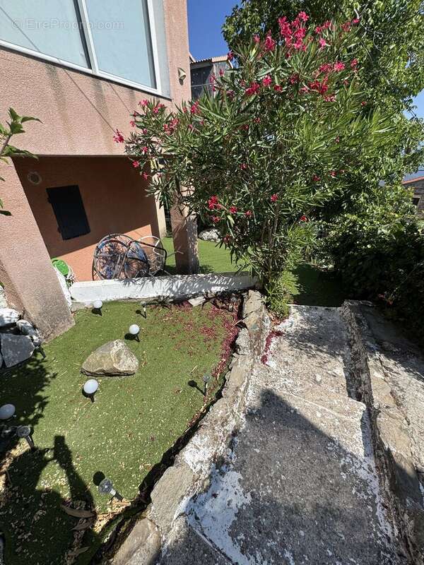 Rospigliani, Vente maison de village rénovée avec jardin - photo 12