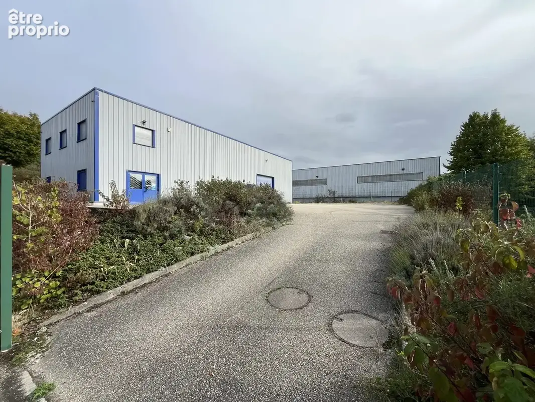 Local d'activite 305 m² - photo 12
