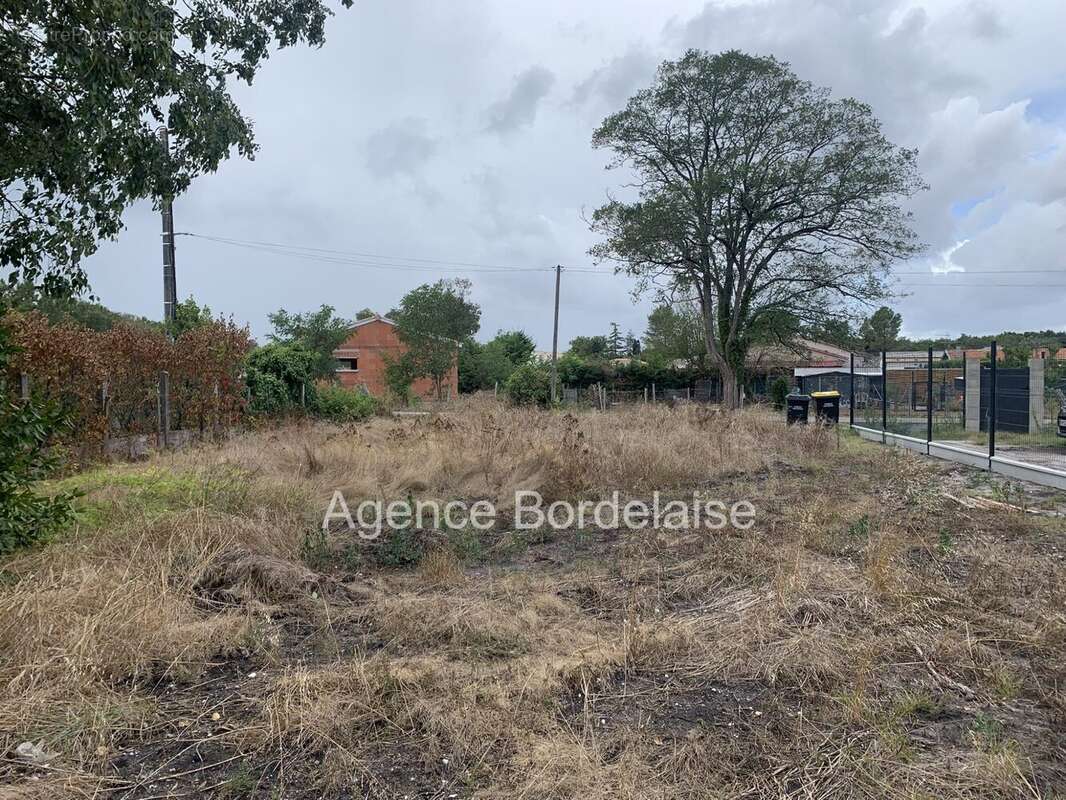 Terrain à CANTENAC