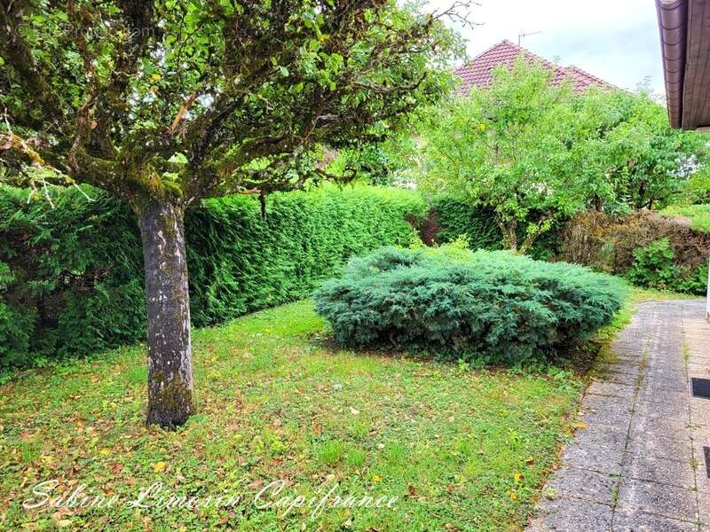 Maison à HERIMONCOURT