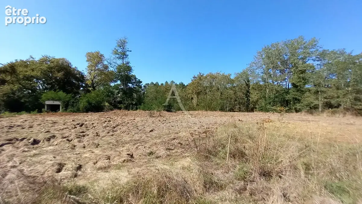 Terrain constructible de 3 824 m² à sainte-foy - photo 3