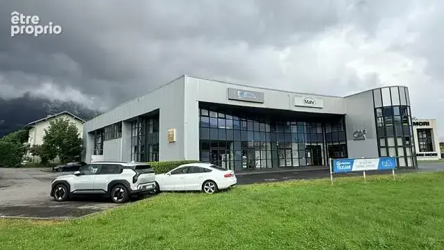 Commerce à SCIONZIER