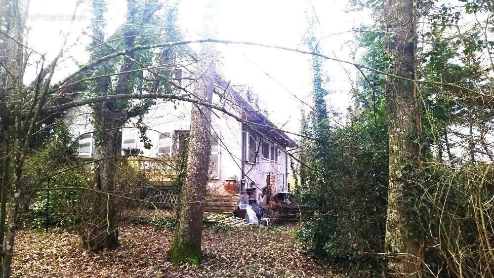 Maison à CHEVIGNY-SAINT-SAUVEUR