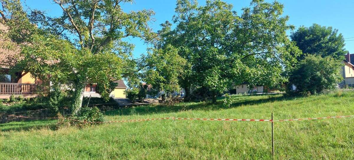 Photo 6 - Terrain à DORLISHEIM