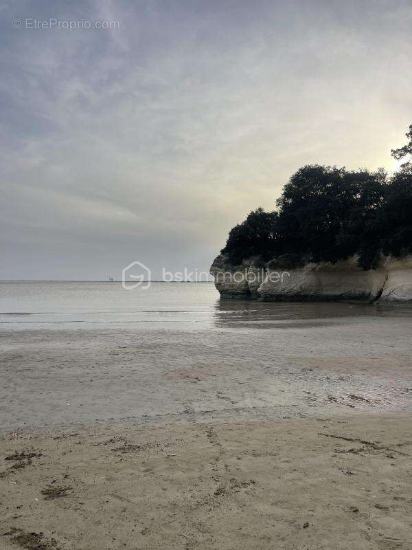 Maison à MESCHERS-SUR-GIRONDE