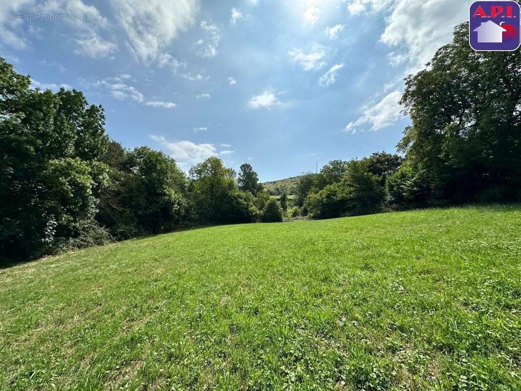 Terrain à LA BASTIDE-DE-SEROU