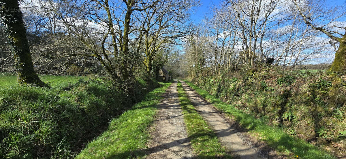 Terrain à LOCUNOLE