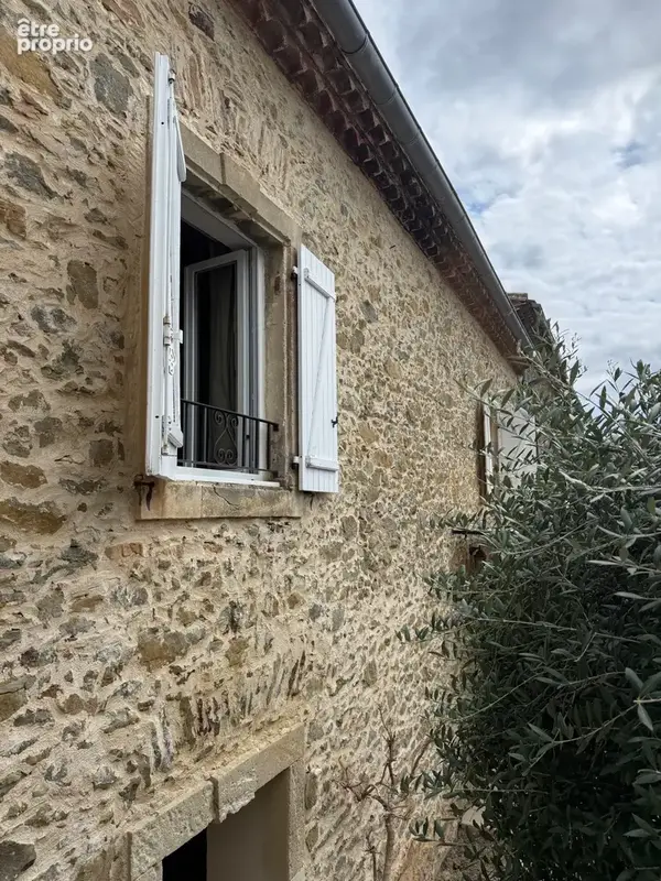 Maison en pierre pleine de charme au coeur de palaja - photo 21