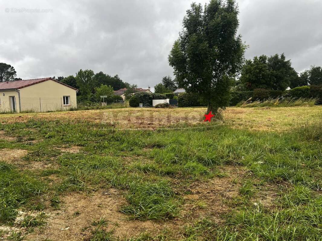 Terrain à GAILLAC