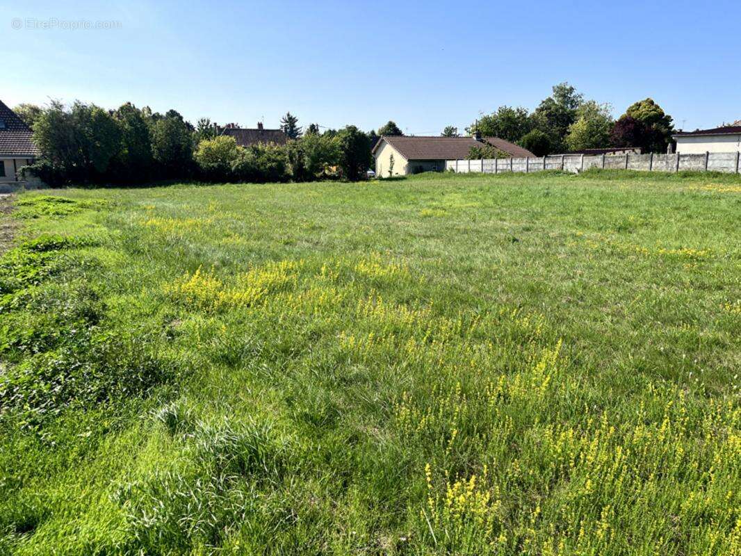Terrain à LES GRANDES-CHAPELLES