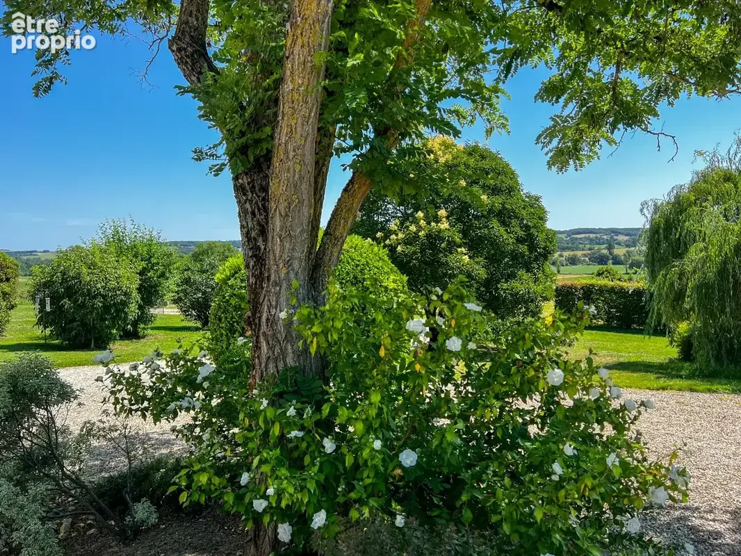 Magnifique propriété en pierre, restaurée, avec 4 hectares de terrain, à proximités de Condom et Lectoure - photo 34