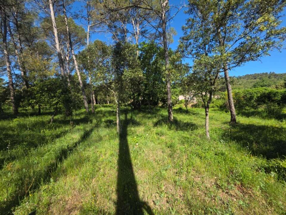 Terrain 847 m² à Gareoult  - photo 6