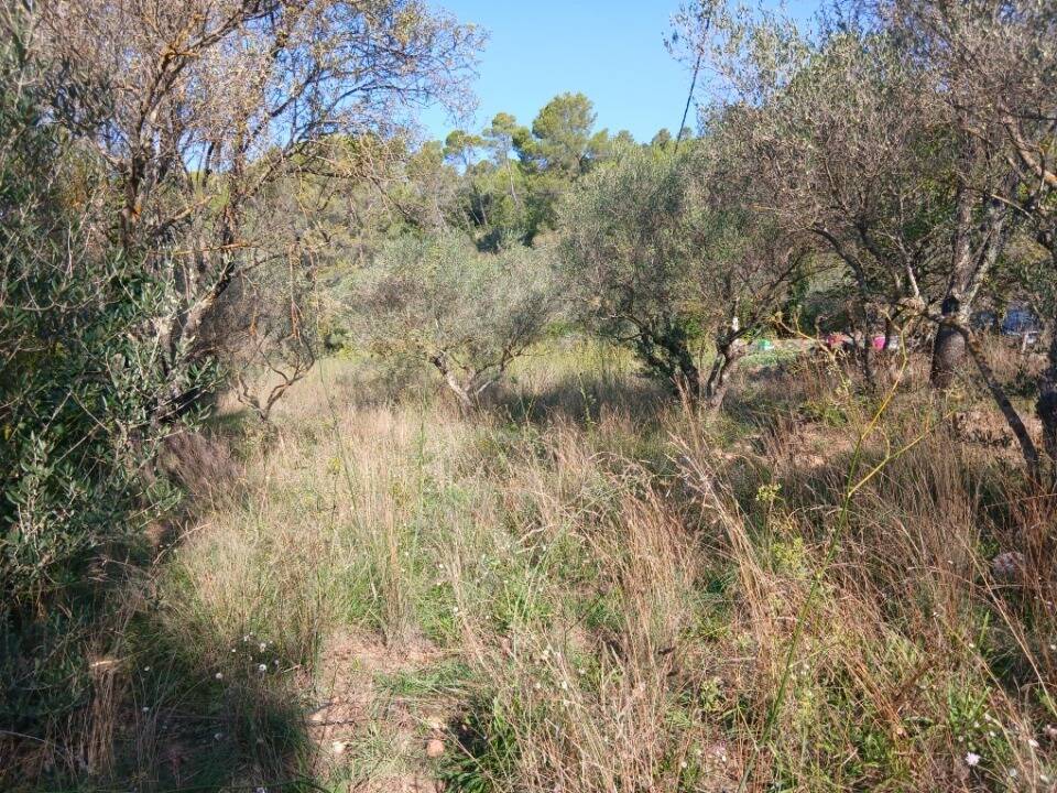 Terrain à CARNOULES