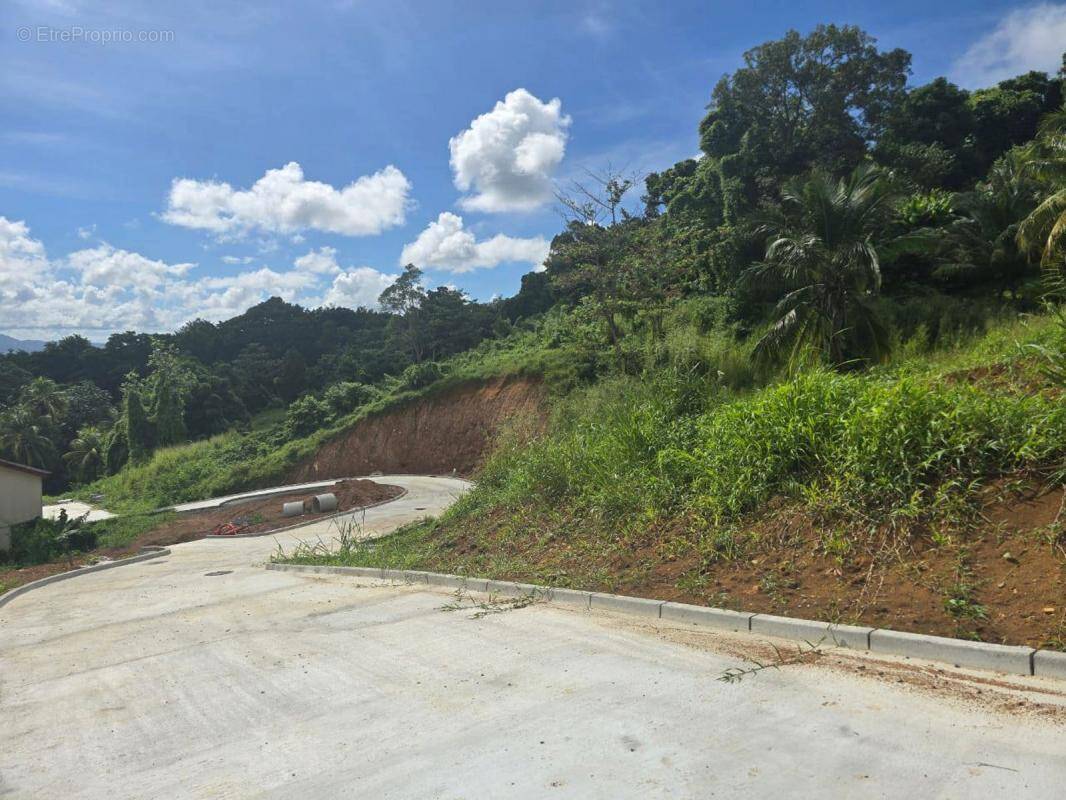 Terrain à FORT-DE-FRANCE