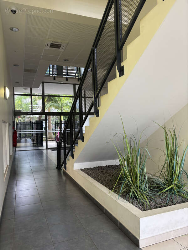 Commerce à SAINTE-MARIE