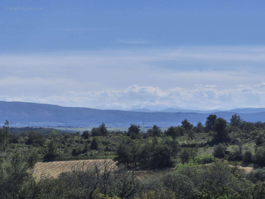 Terrain à LA LIVINIERE