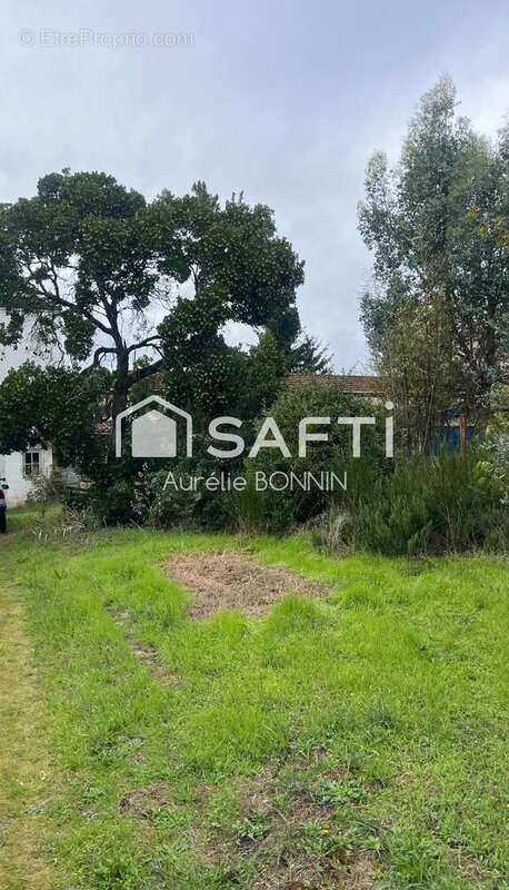 Photo 3 - Maison à TALENCE