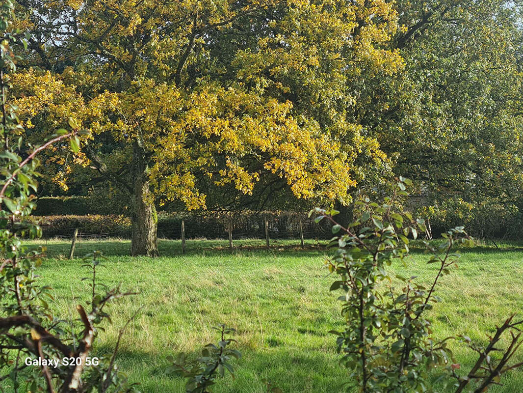 Terrain constructible st jacques d'ambur - photo 2