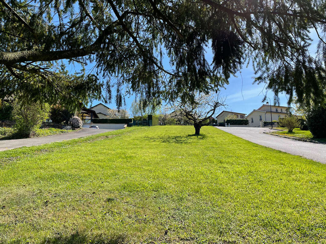 Terrain à POUILLY-LE-MONIAL