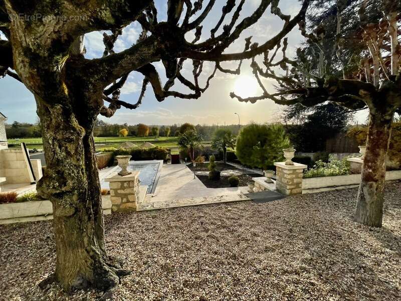 Maison à MONTRICHARD