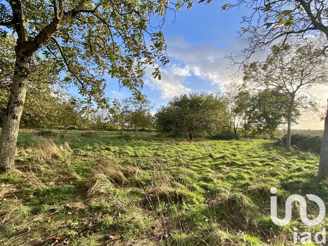 Photo 3 - Terrain à SAINT-HILAIRE-DE-VOUST