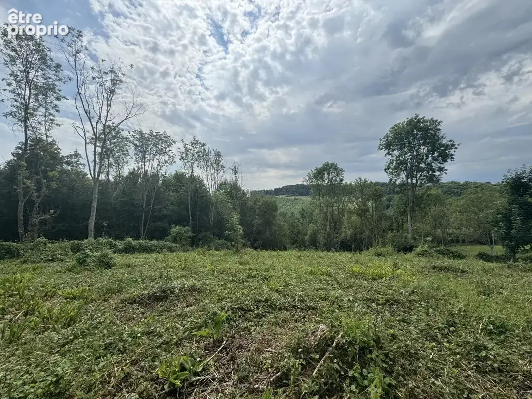 Terrain à LE MESNIL-SIMON