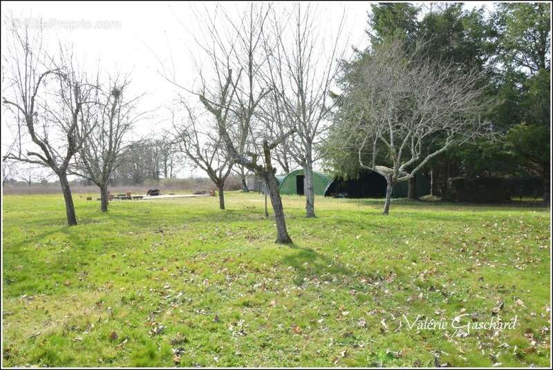 Maison à MOULIN-NEUF