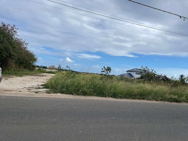 Terrain à SAINT-FRANCOIS